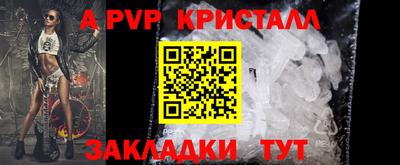 a pvp Кингисепп