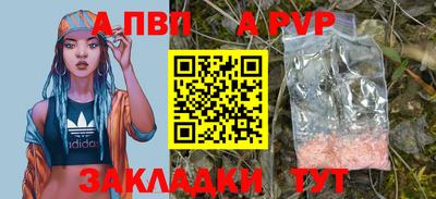 a pvp Кингисепп