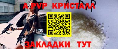 a pvp Кингисепп