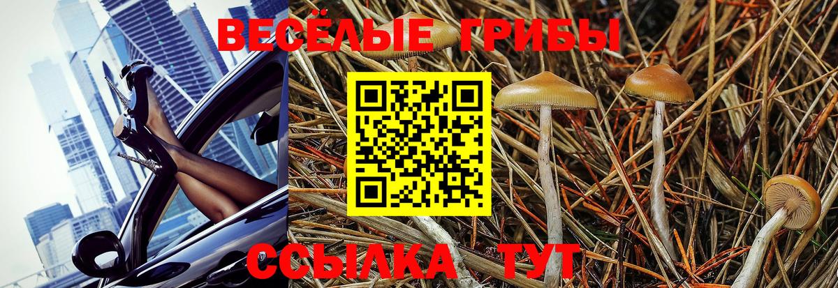 Псилоцибиновые грибы Magic Shrooms Королёв