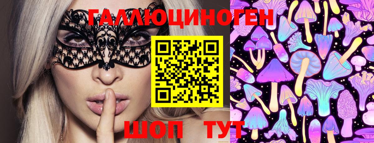 Королёв  Галлюциногенные грибы Psilocybe  наркота  Вход с VPN 